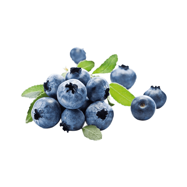 Frozen Blueberry
