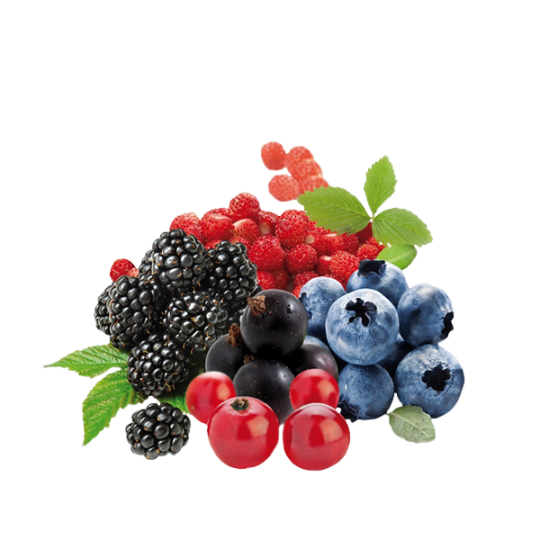  Frozen Forest Fruits