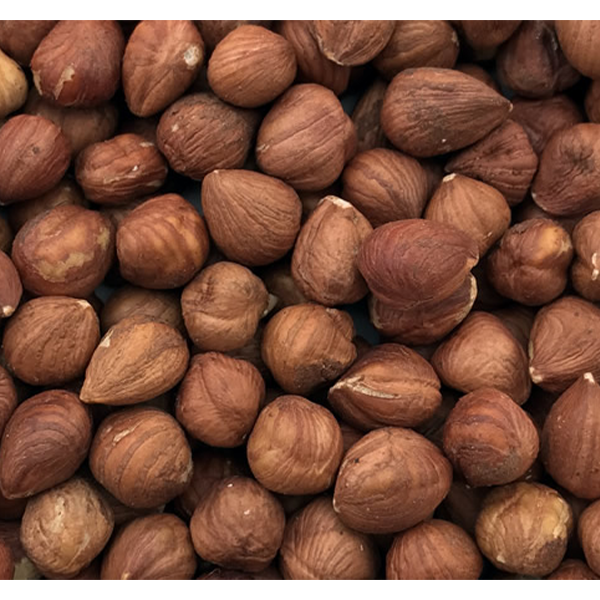 Natural Hazelnut Kernels